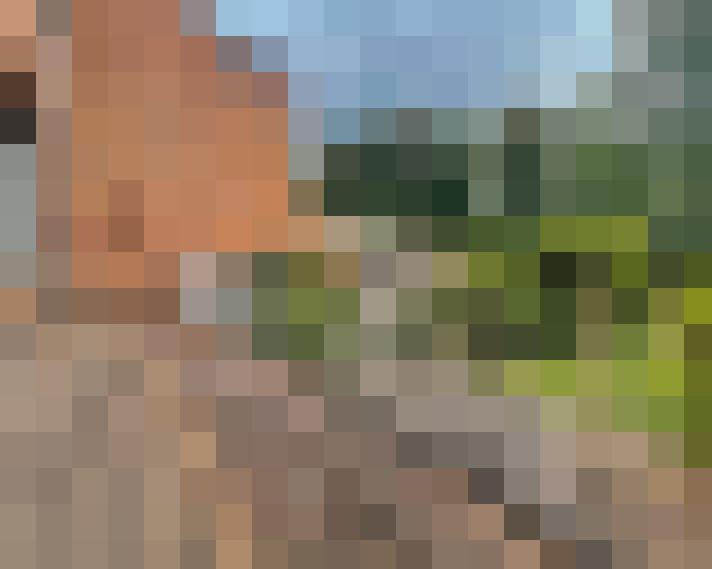 Image 16