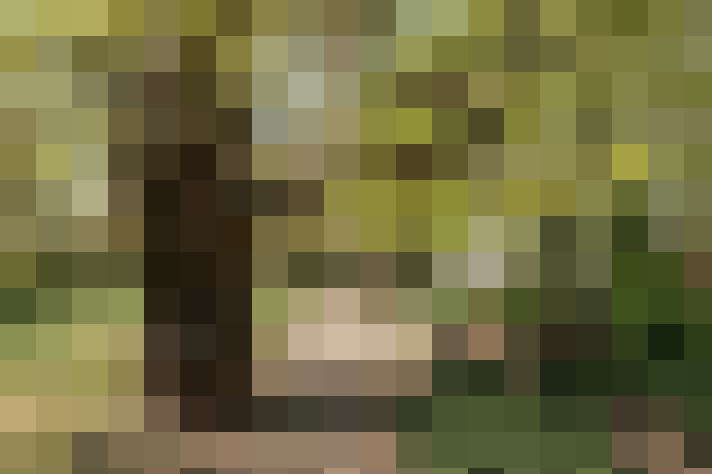 Image 13