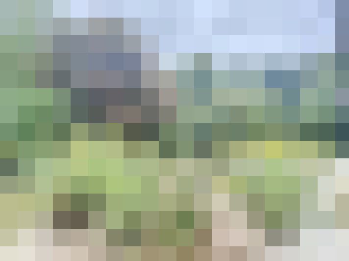 Image 18