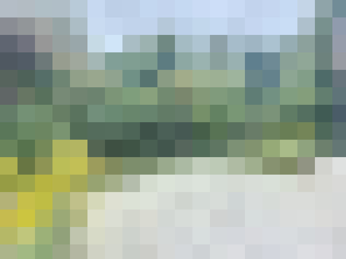 Image 17
