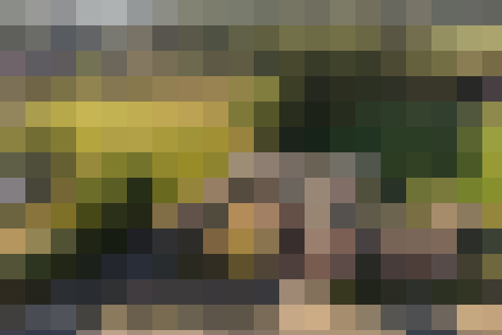 Image 32