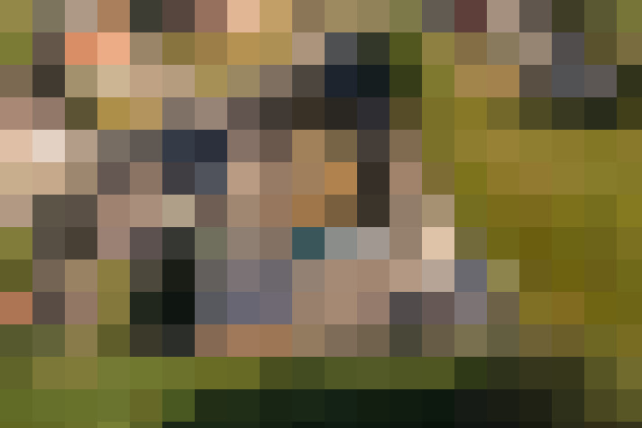 Image 31