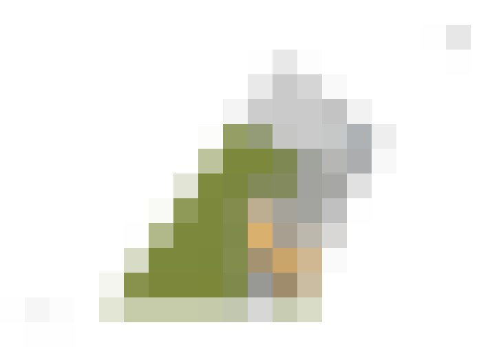 Image 34