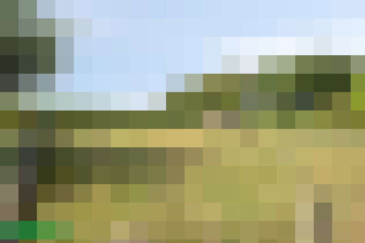 Image 30