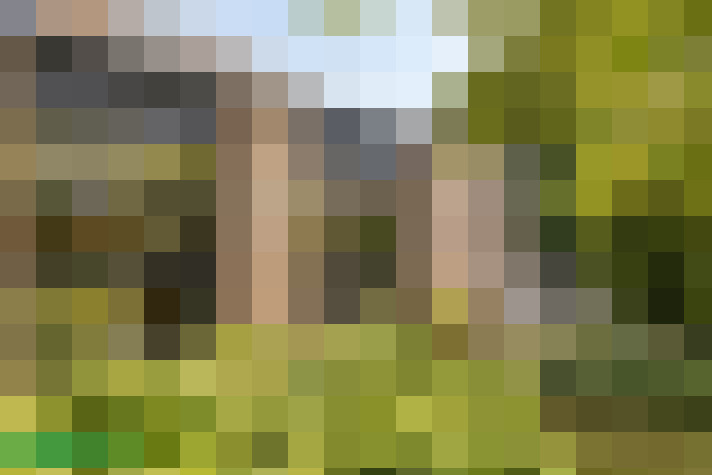 Image 24