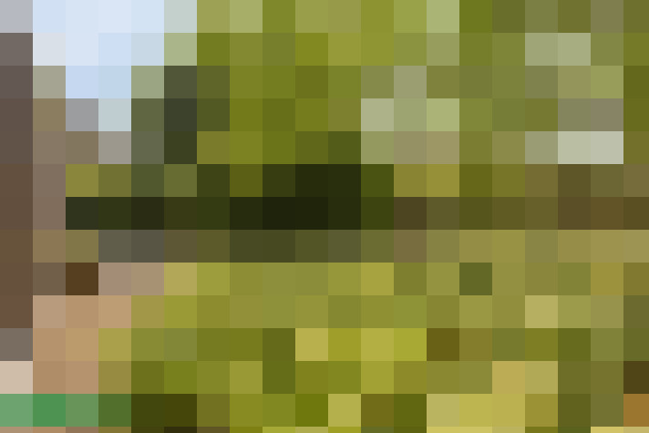 Image 23