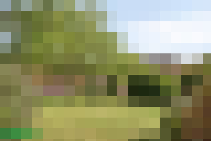 Image 27