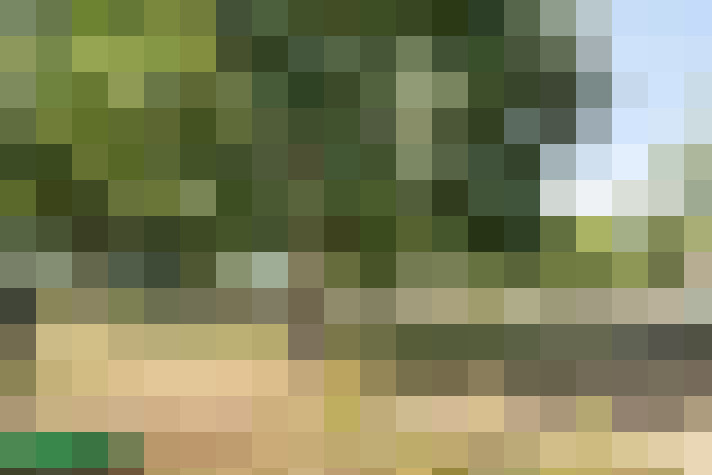 Image 28