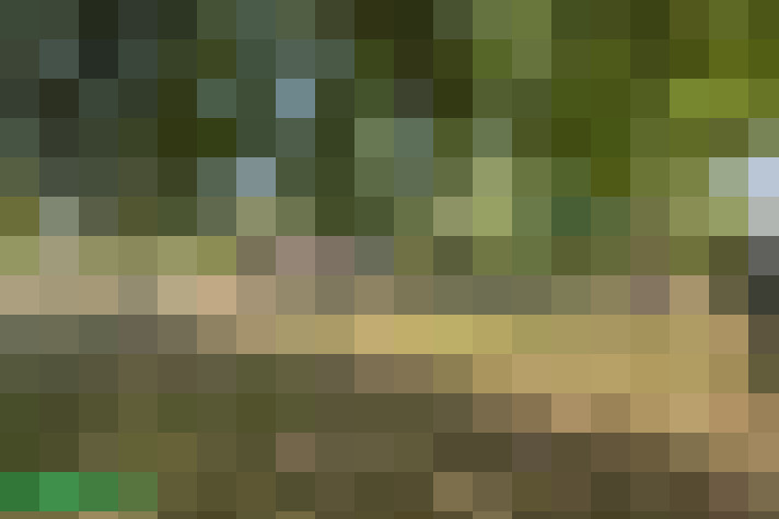Image 29