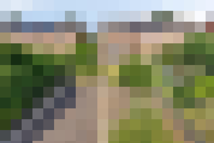 Image 23