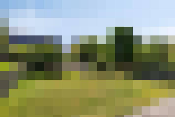 Image 20