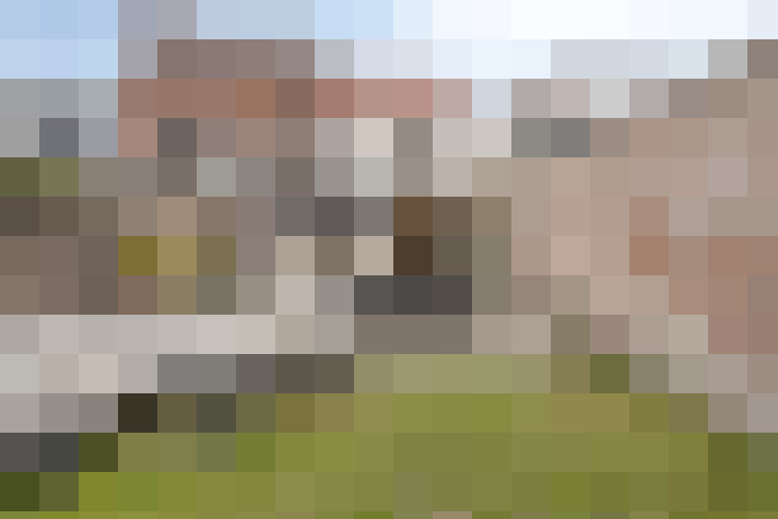 Image 25