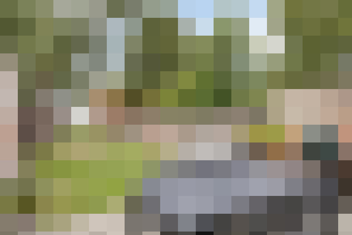 Image 24