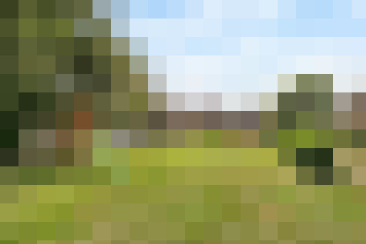 Image 17