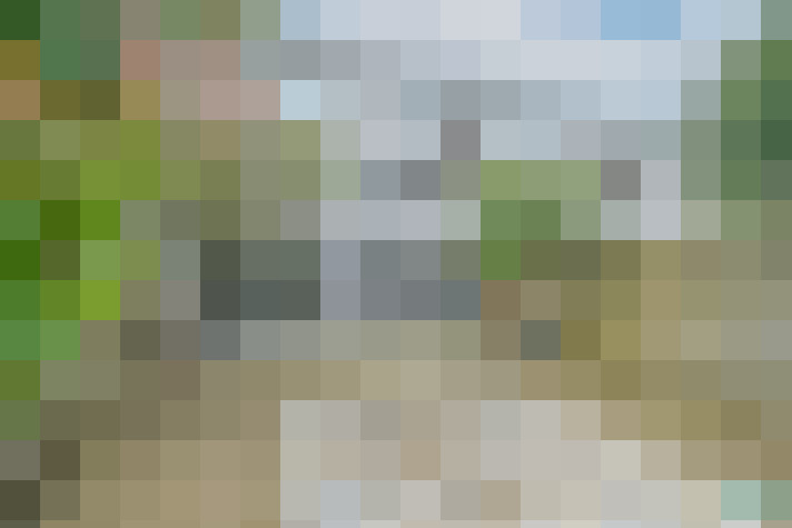 Image 23