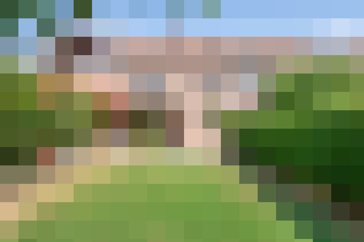 Image 20
