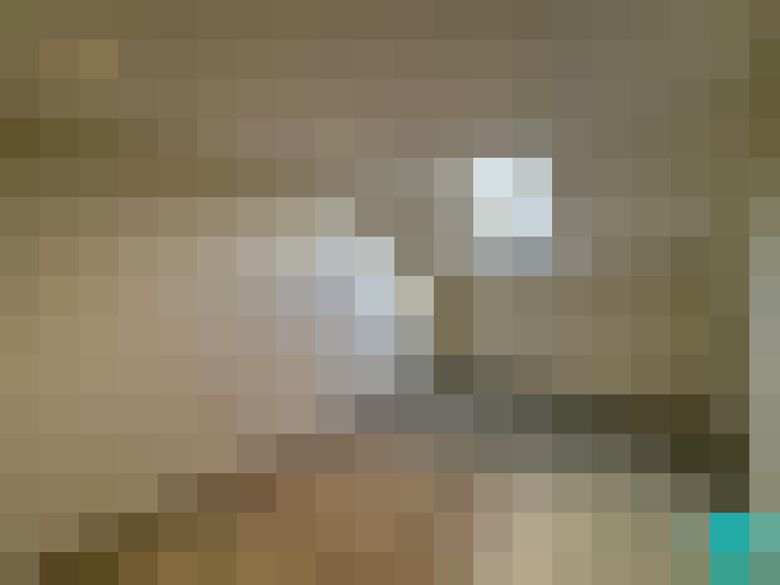 Image 25