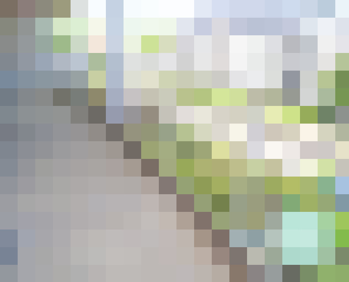 Image 13