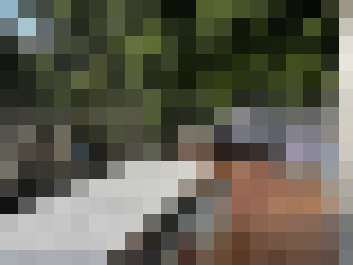 Image 24