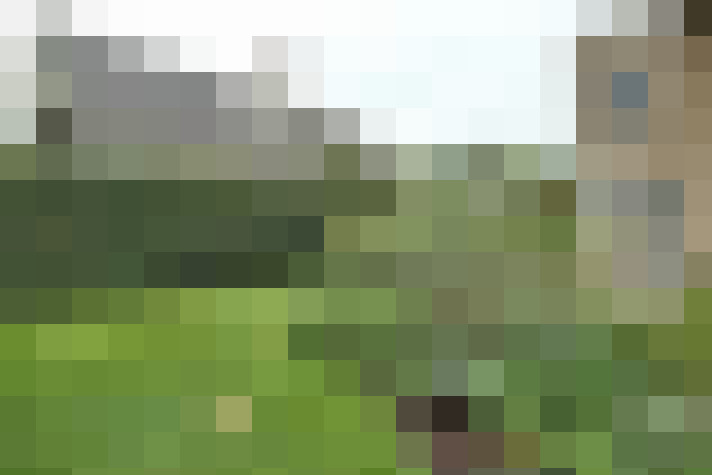 Image 34
