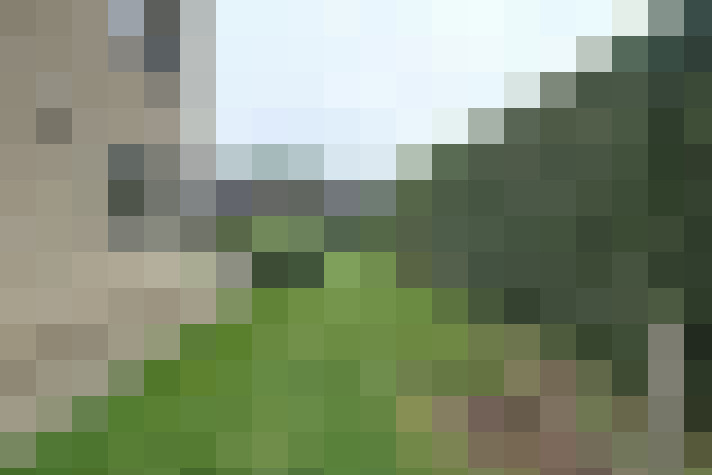 Image 35