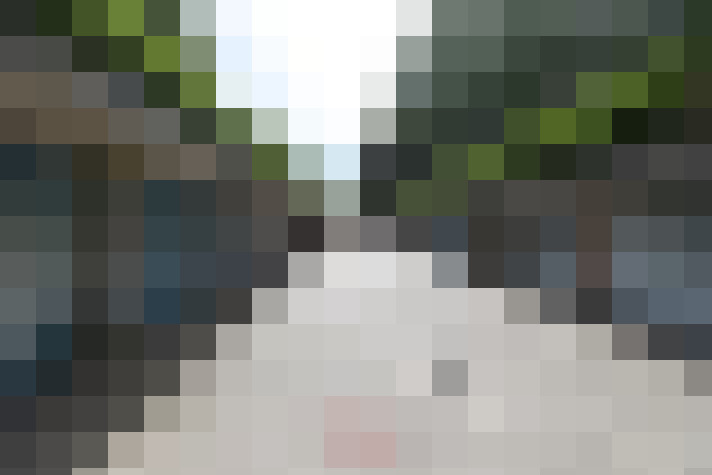Image 17