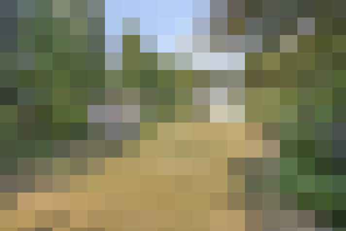 Image 29