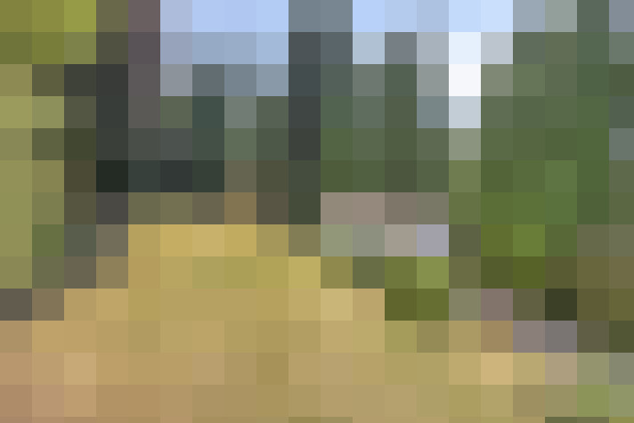 Image 28