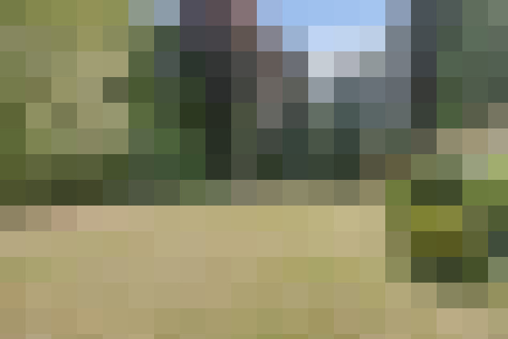 Image 24