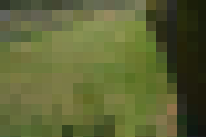 Image 26