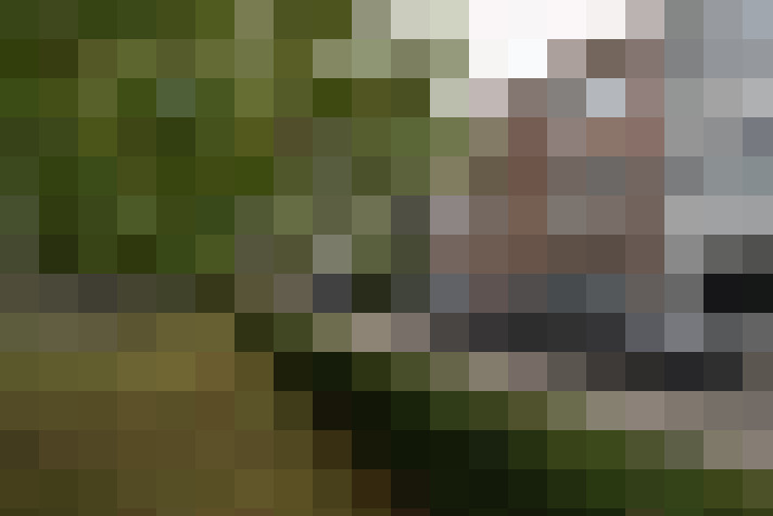 Image 18