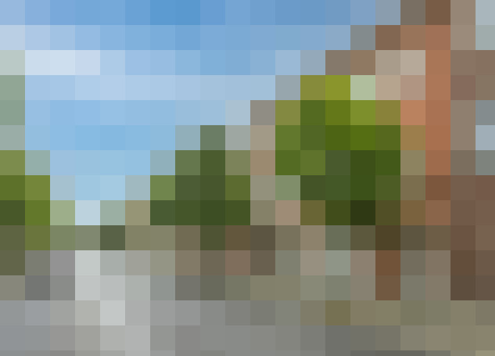 Image 29