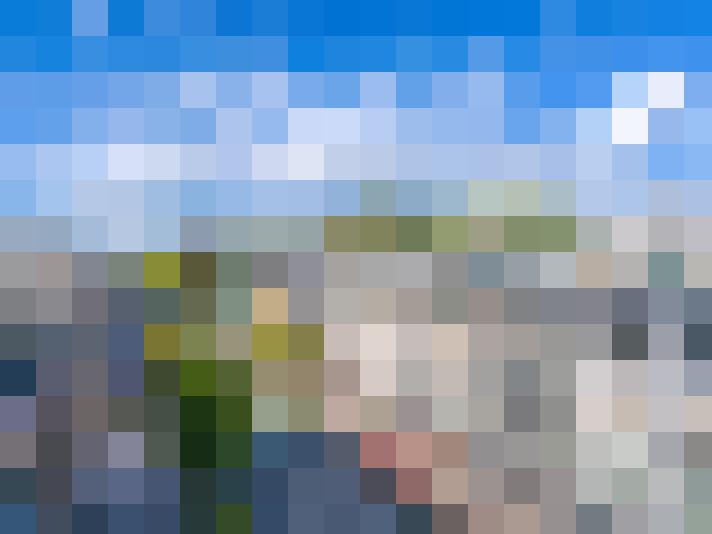 Image 24