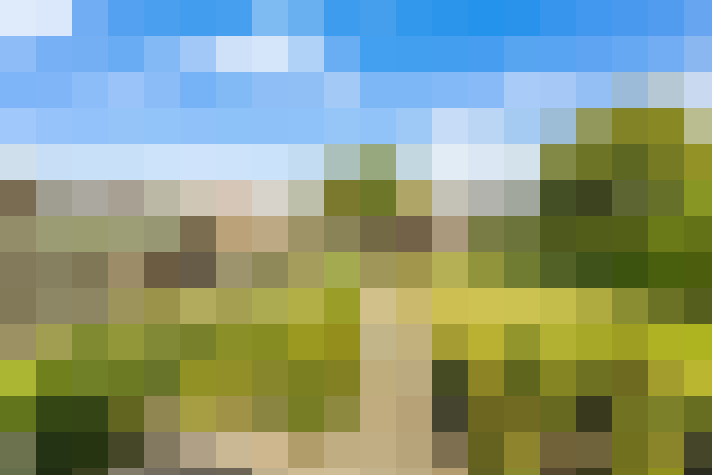 Image 15
