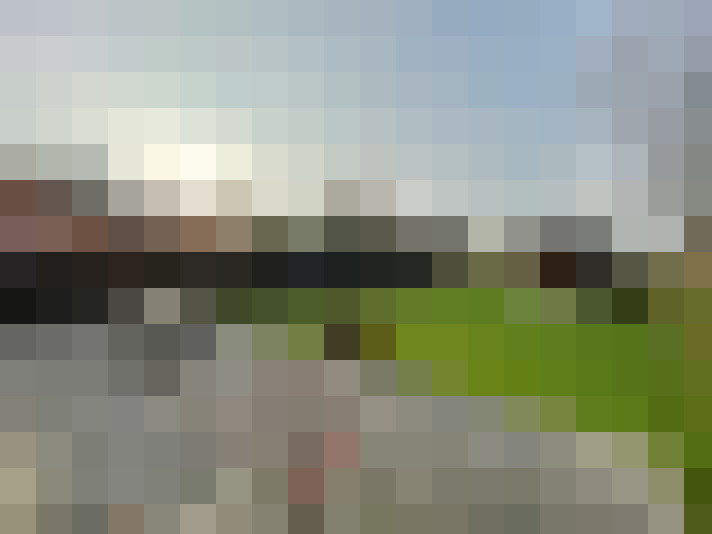 Image 17