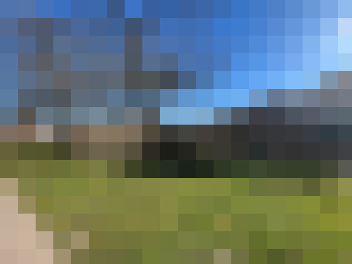 Image 15