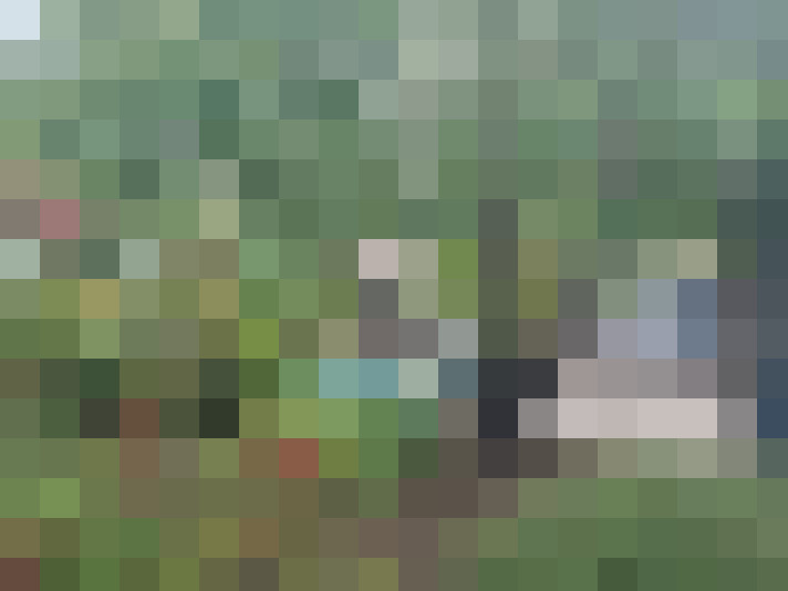 Image 13