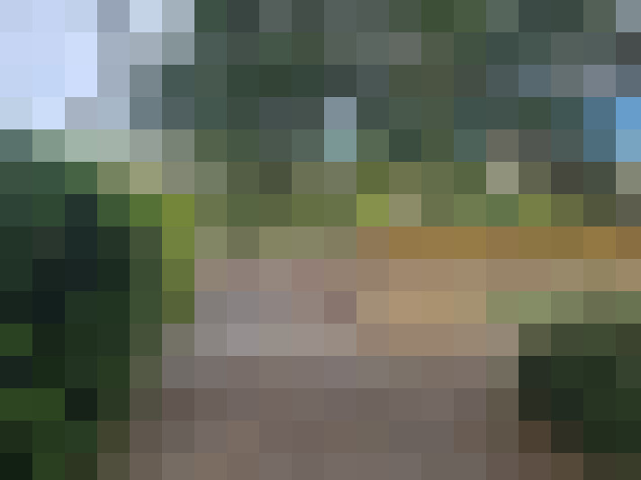 Image 17