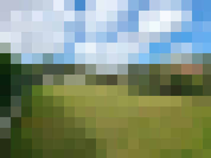 Image 23