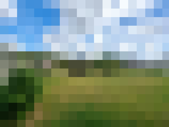 Image 22