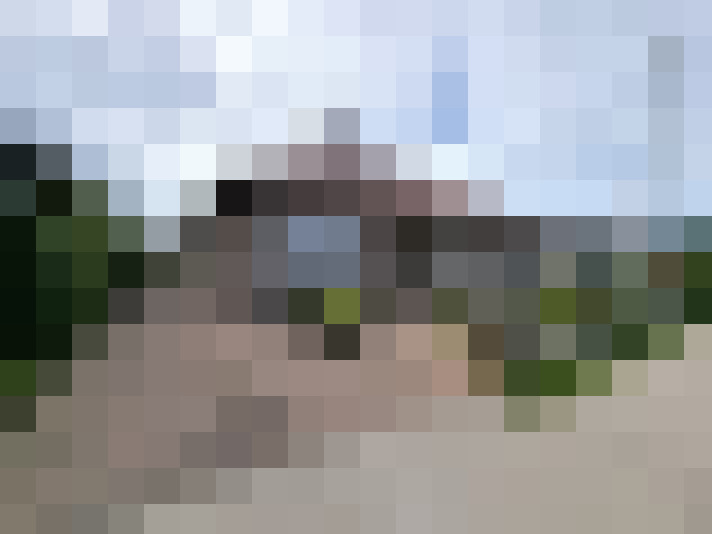 Image 19