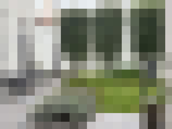 Image 17