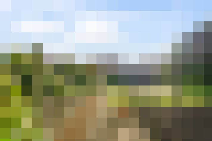 Image 13