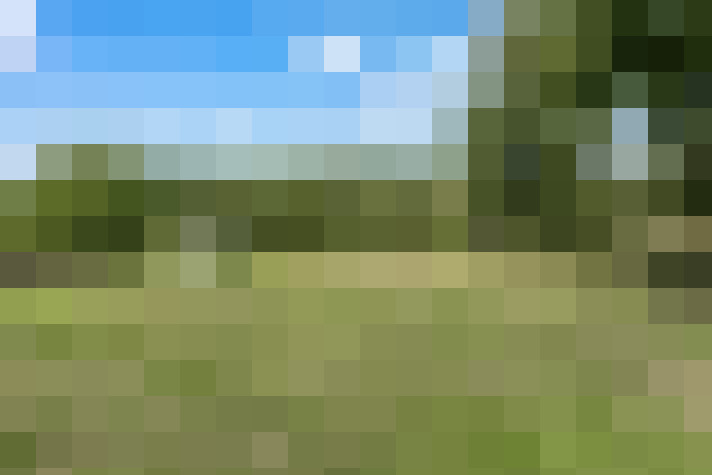 Image 16