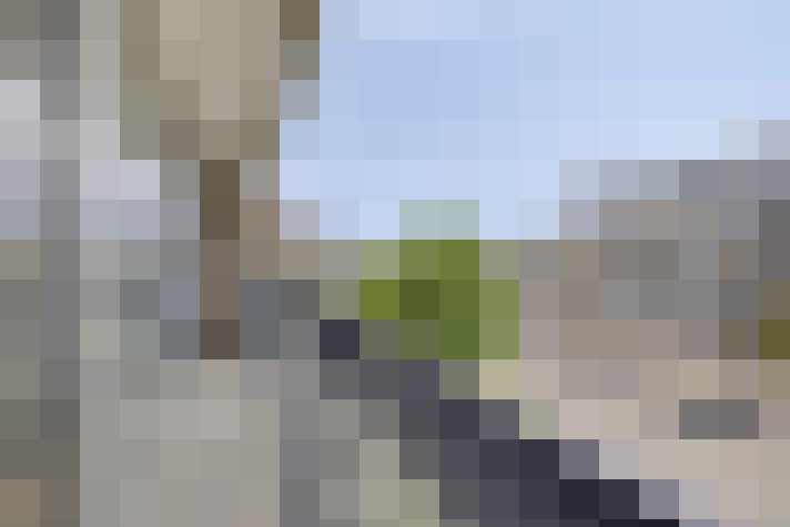 Image 24
