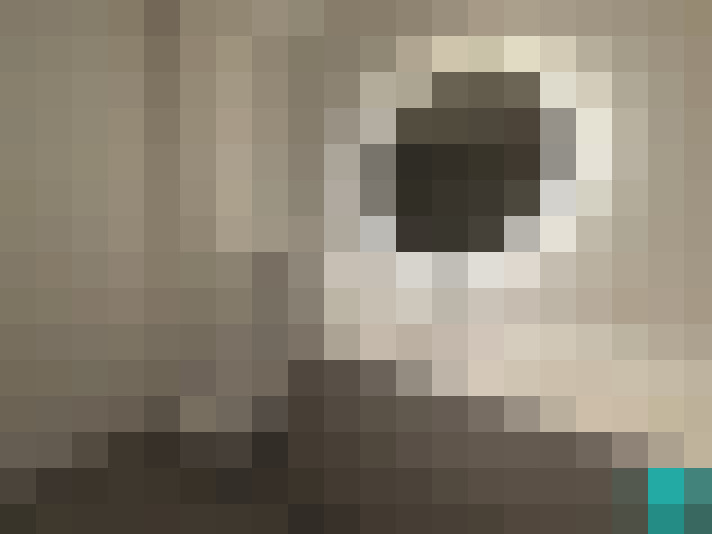 Image 17