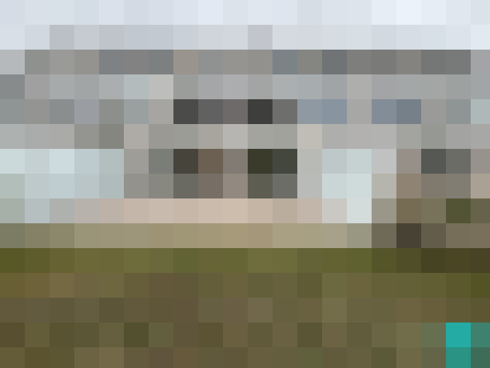 Image 20