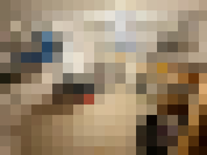 Image 22