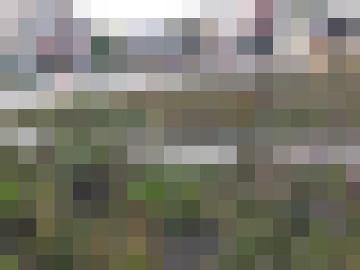 Image 26