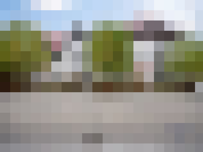 Image 25